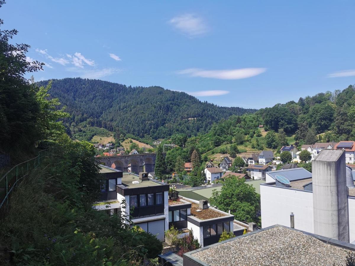 Terrassenwohnung Mit Toller Aussicht & Zentrumsnah Hornberg Extérieur photo