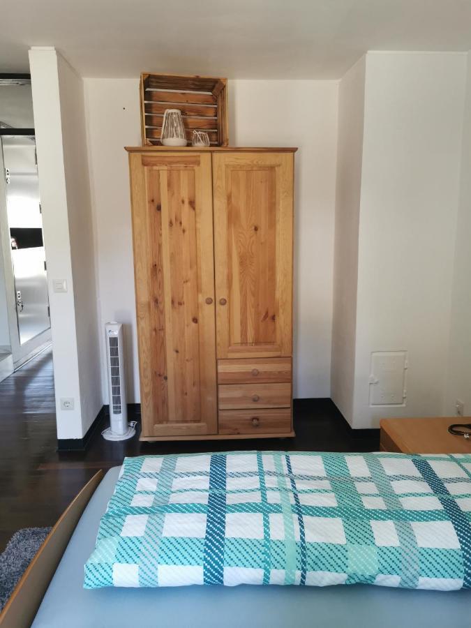 Terrassenwohnung Mit Toller Aussicht & Zentrumsnah Hornberg Extérieur photo