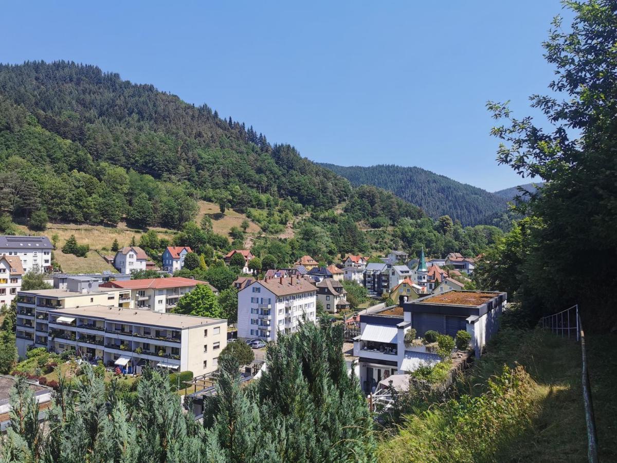 Terrassenwohnung Mit Toller Aussicht & Zentrumsnah Hornberg Extérieur photo